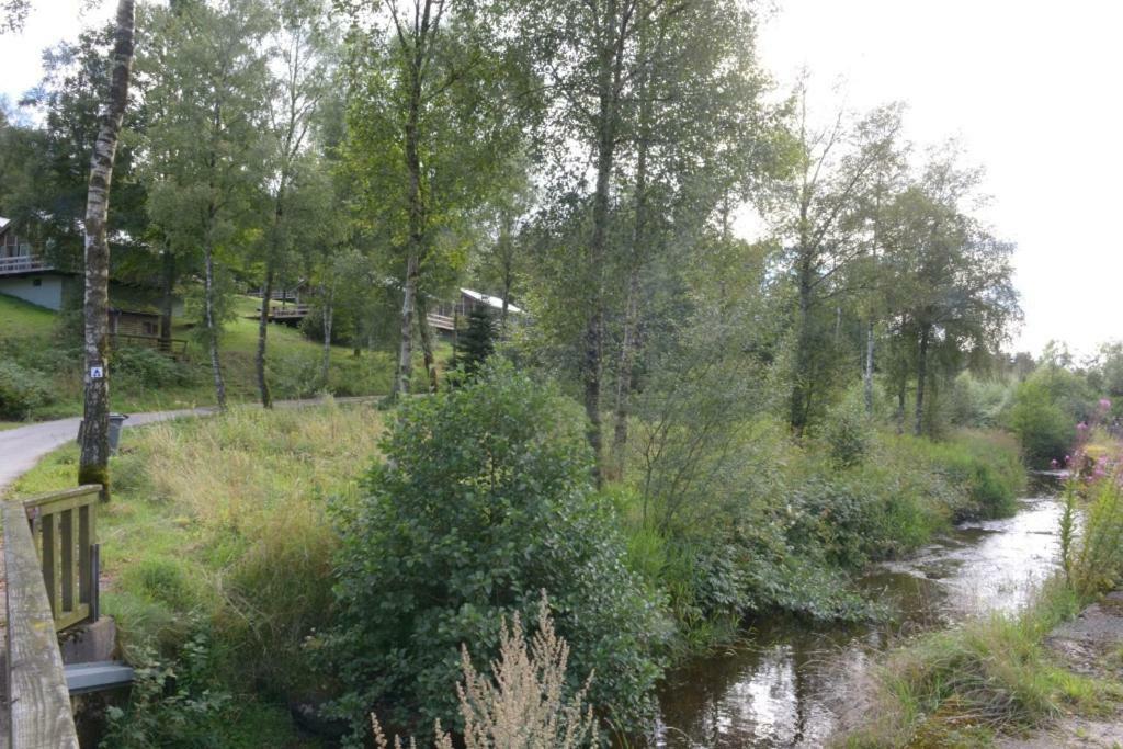 Chalet "A L Oree Du Bois" Bullange Luaran gambar