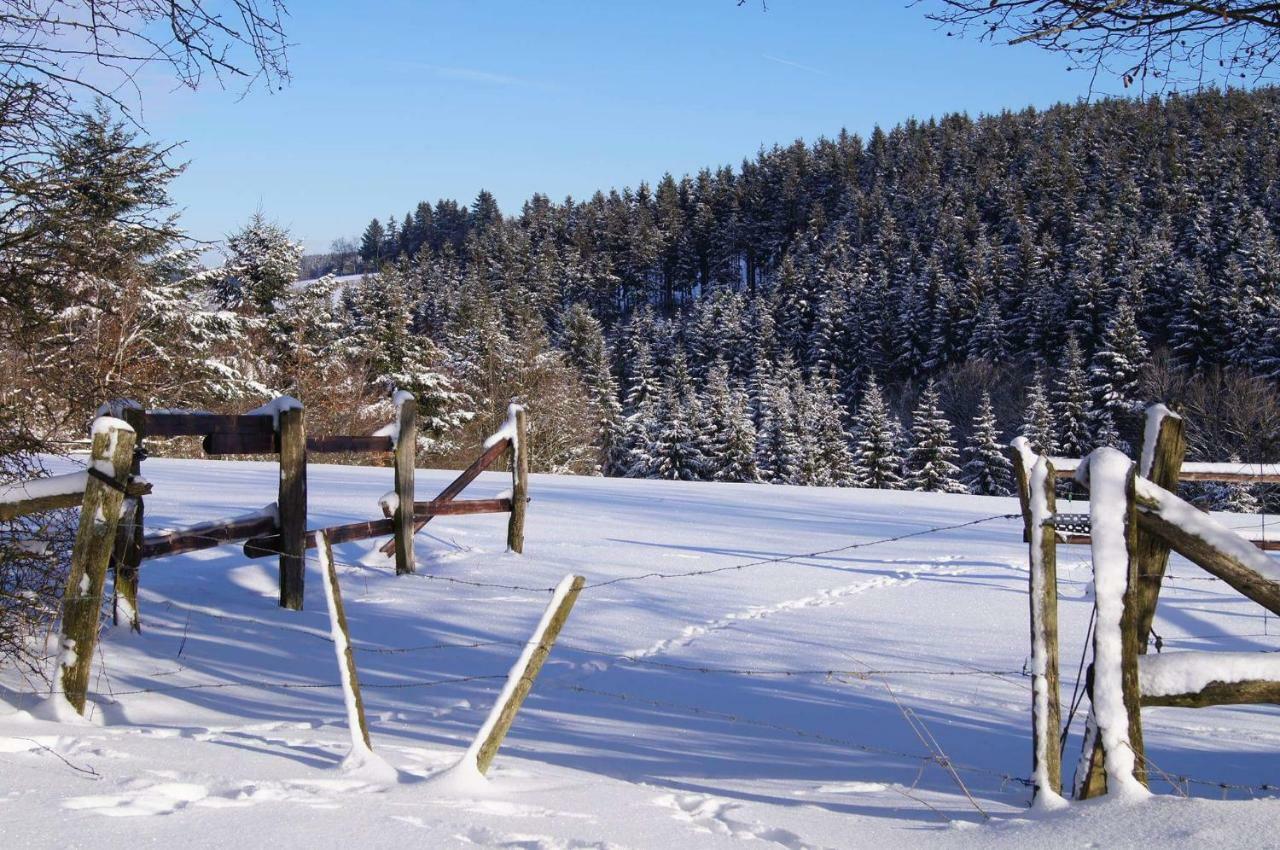 Chalet "A L Oree Du Bois" Bullange Luaran gambar